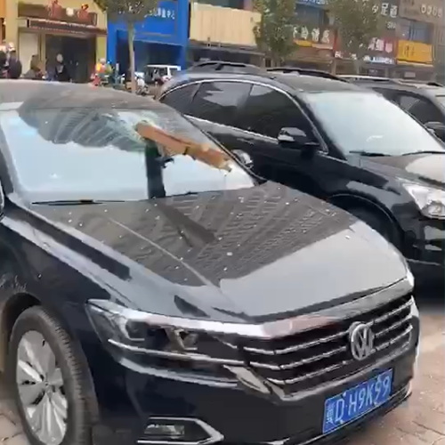 窗户坠落