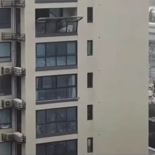 normal video1